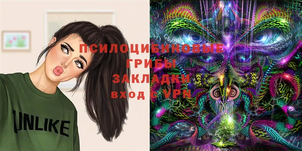 дживик Няндома