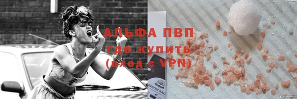 гашик Новозыбков