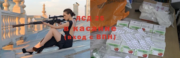 гашик Новозыбков