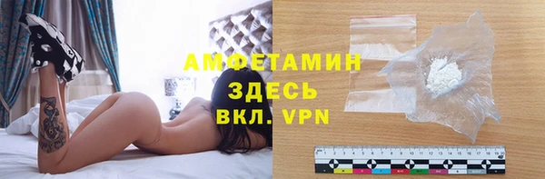 гашик Новозыбков