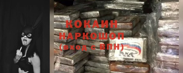 гашик Новозыбков