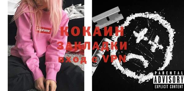 гашик Новозыбков