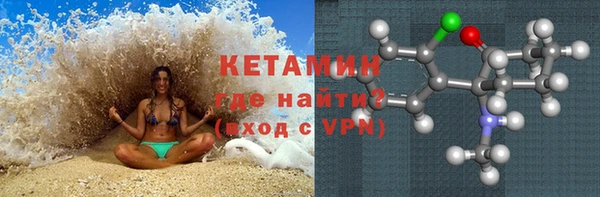 гашик Новозыбков