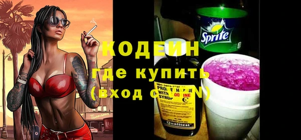 гашик Новозыбков