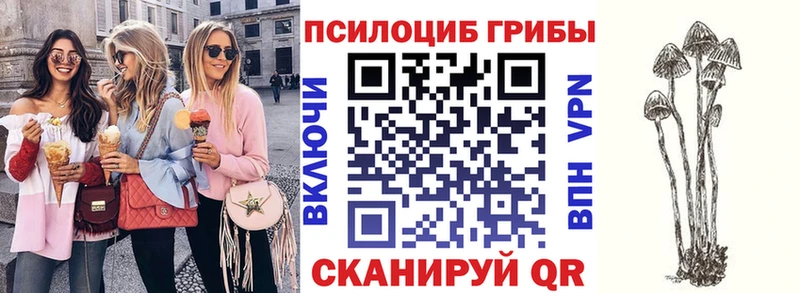 кракен ТОР  Никольское  Псилоцибиновые грибы Magic Shrooms  где продают  